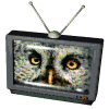 tv2.gif